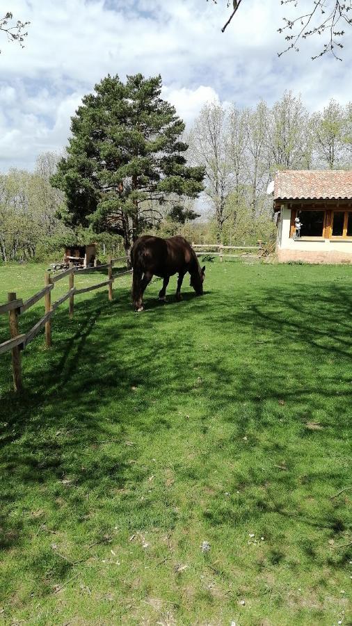 Villa Eco Urbion Duruelo de la Sierra Exterior foto