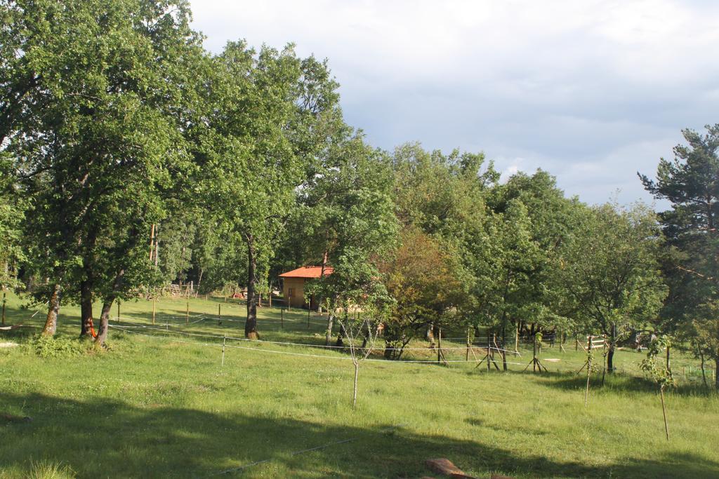 Villa Eco Urbion Duruelo de la Sierra Exterior foto